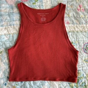 American Eagle Outfitters Rust Ribbed Crop Top